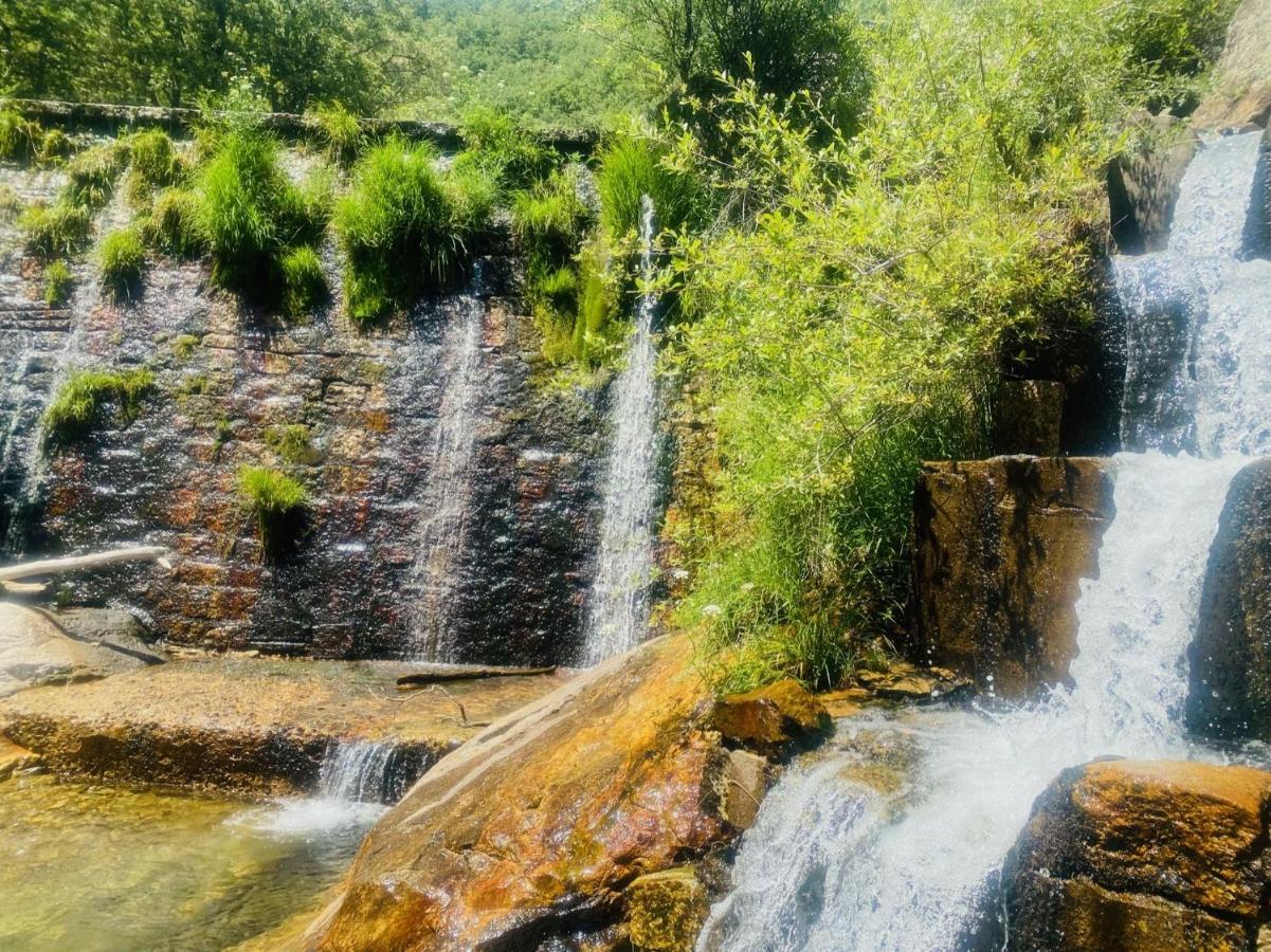 El Chalet Rascafría Εξωτερικό φωτογραφία